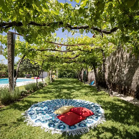 Quinta De Santa Baia Kır Evi